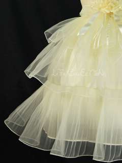   Princess Wedding Pageant Fancy Dresses NEW Yellow 2,3,4,5,6 years