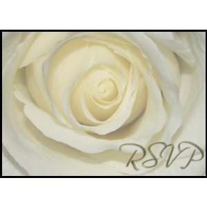  RSVP Cream Wedding Day Rose Postage Stamps Office 