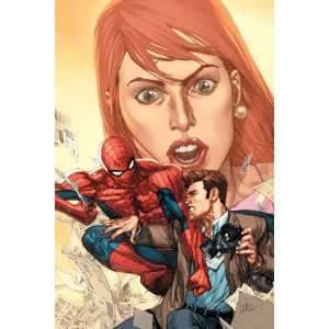   and Peter Parker by Leinil Francis Francis Yu, 48x72