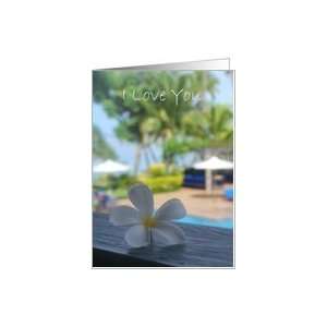   You Delicate white Fijian flower with palm trees in background. Card