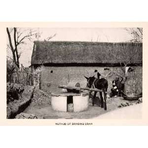  1905 Halftone Print Method Grinding Grain Farming Donkey 