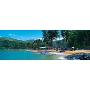 Trees on the Beach, Arapito Beach, Mochima National Park, Anzoategui 