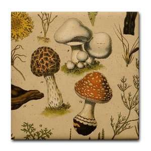  Antique Botanical  Mushrooms Art Tile Coaster by  