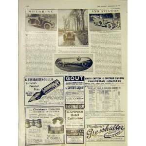  Motor Car Vauxhall Rover Wolseley Sunbeam Print 1913