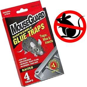 Glue Traps Board Rat Mouse Pest Roach Rodent Insects Bugs Control 