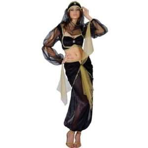  Arabian Belly Dancer 4pc Fancy Dress Costume Size US 4 6 