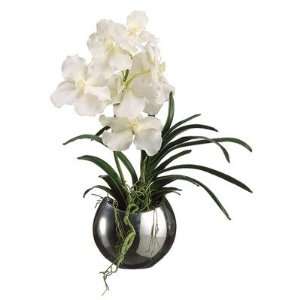  21 Vanda Orchid with Vase in White
