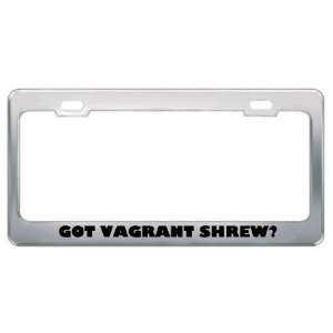 Got Vagrant Shrew? Animals Pets Metal License Plate Frame 