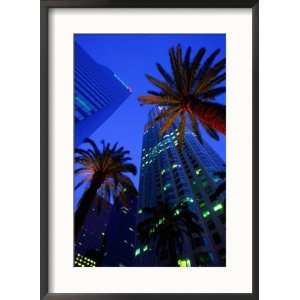 Citibank Center and Palm Trees from Below, Los Angeles, United States 