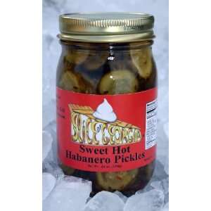 SLICE OF GEORGIA All Natural Habanero Dill Pickles, 16 oz jar  