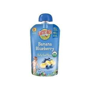 Earths Best Banana Blueberry 2nd Puree Grocery & Gourmet Food
