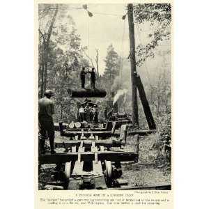 Logging Camp Tandem Ride Loggers Lumberjack Wilmington North Carolina 
