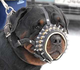 Leather Spiked Dog Muzzle Amstaff Rottweiler PitBull  
