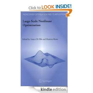 Large Scale Nonlinear Optimization (Nonconvex Optimization and Its 