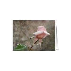  Hazel Birthday   Pink Rose Bud Card Health & Personal 