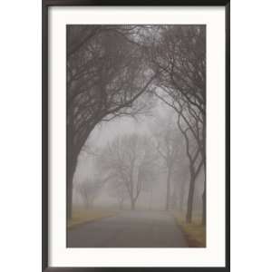  Autumn Fog in Assiniboine Park, Winnipeg, Manitoba Framed 