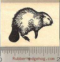 Realistic Beaver Rubber Stamp Wood Mounted D541  