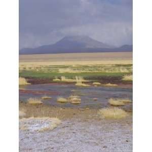  River Putana, Futuro National Park, San Pedro De Atacama 