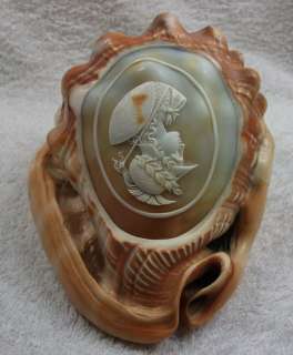   QUALITY CARVED CONCH SHELL WITH CAMEO OF ATHENA 1850 LAYAWAY  