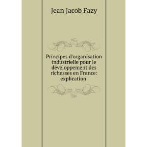   des richesses en France explication . Jean Jacob Fazy Books