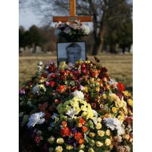  Flowers on a Grave, Vienna, Austria, Europe Photographic 