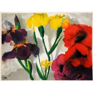  1966 Print Emil Nolde Watercolor Modern Art Iris Poppy Flowers 