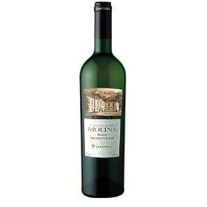  Castillo De Molina Sauvignon Blanc 2010 750ML Grocery 