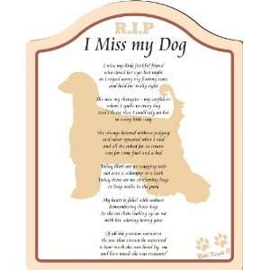  I Miss My Afghan Hound Dog  8x10 (Female) Poem with 