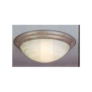  Volume Ceiling Light lunar bay V6654 15