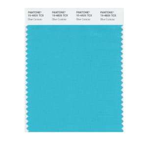   SMART 15 4825X Color Swatch Card, Blue Curacao