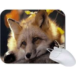  Rikki Knight Baby Fox Close up Mouse Pad Mousepad   Ideal 