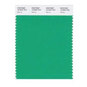  PANTONE SMART 16 5942X Color Swatch Card, Blarney