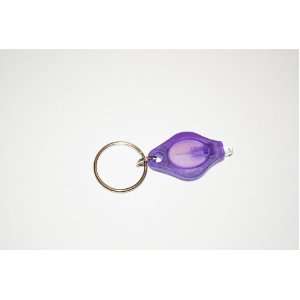    Mini LED Photon Keychain Micro Light, Purple Beam