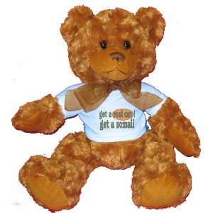  get a real cat Get a somali Plush Teddy Bear with BLUE T 