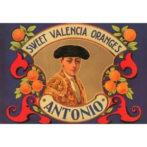  SWEET VALENCIA ORANGES ANTONIO FRUIT CRATE LABEL CANVAS 