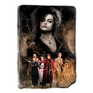 Harry Potter and the Half Blood Prince   Bellatrix Lestrange, 20 x 30 