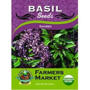  Organic Sacred Basil Seeds Patio, Lawn & Garden