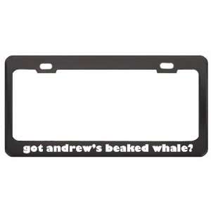 Got AndrewS Beaked Whale? Animals Pets Black Metal License Plate 