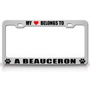 MY HEART BELONGS TO A BEAUCERON Dog Pet Steel Metal Auto License Plate 