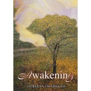  Awakening (DVD) [DVD] Llewellyn Vaughan Lee Books
