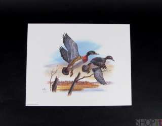 Don Balke Ducks Print Signed Art 1988 Birds Wildlife  