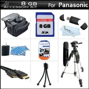  8GB Accessory Kit For Panasonic HDC TM90K 3D Compatible 