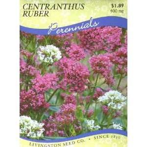  Centranthus Ruber Mix (Perennial) Patio, Lawn & Garden