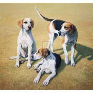 Cotswold Foxhounds by Gary Stinton, 24x23 