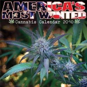  AMERICAS MOST WANTED 2010 WALL CALENDAR