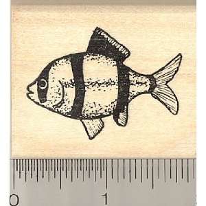  Tiger Barb Fish Rubber Stamp Arts, Crafts & Sewing