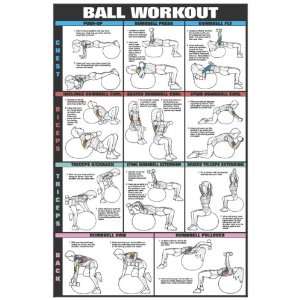 Co ed Swiss Ball Workout I 24 X 36 Laminated   Chest, Biceps 