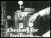 Vintage Beer Brewing Bottling Films & Commercials DVD  