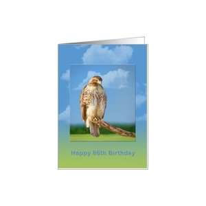  Birthday, 86th, Rough Legged Hawk Card Toys & Games