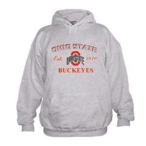 Ohio State Buckeyes Ash Alliance Embroidered Hoody Sweatshirt  